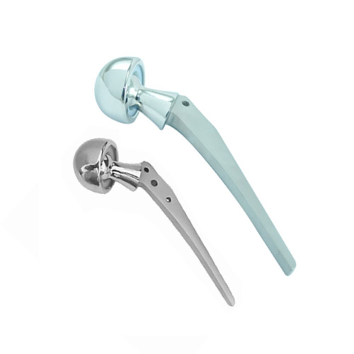Hip Prosthesis