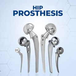 Hip Prosthesis